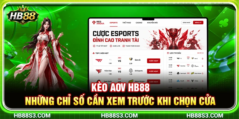 Kèo AOV HB88 – Những Chỉ Số Cần Xem Trước Khi Chọn Cửa