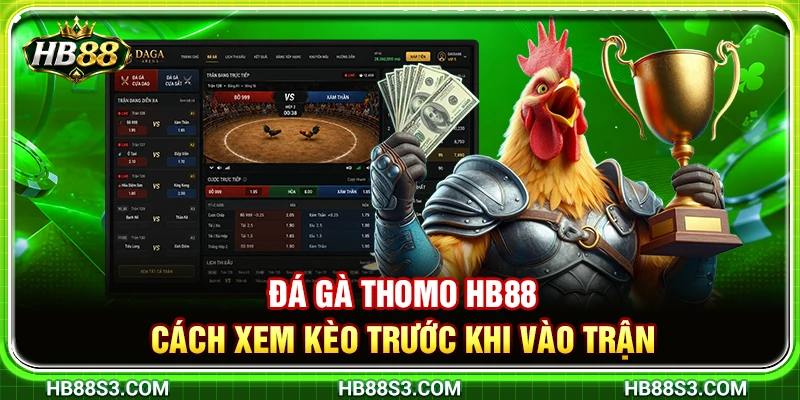 Đá Gà Thomo HB88 – Cách Xem Kèo Trước Khi Vào Trận Chuẩn Xác 4 Đá Gà Thomo HB88 – Cách Xem Kèo Trước Khi Vào Trận Chuẩn Xác