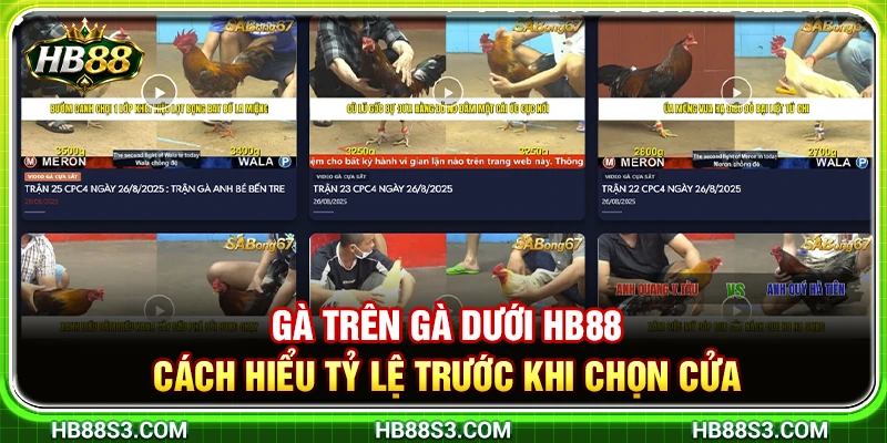 Gà Trên Gà Dưới HB88 – Cách Hiểu Tỷ Lệ Trước Khi Chọn Cửa 10 Gà Trên Gà Dưới HB88 – Cách Hiểu Tỷ Lệ Trước Khi Chọn Cửa
