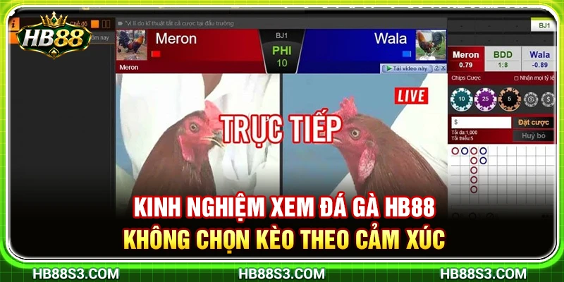 Kinh Nghiệm Xem Đá Gà HB88 Không Chọn Kèo Theo Cảm Xúc 9 Kinh Nghiệm Xem Đá Gà HB88 Không Chọn Kèo Theo Cảm Xúc
