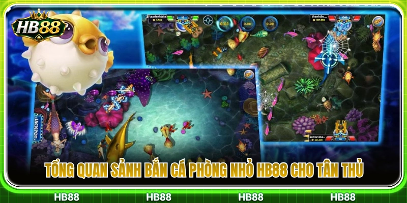 Bắn Cá Phòng Nhỏ HB88 – Cách Chơi Chậm Để Không Hao Đạn 2 Tìm hiểu sảnh cược bắn cá phòng nhỏ HB88 cho người mới